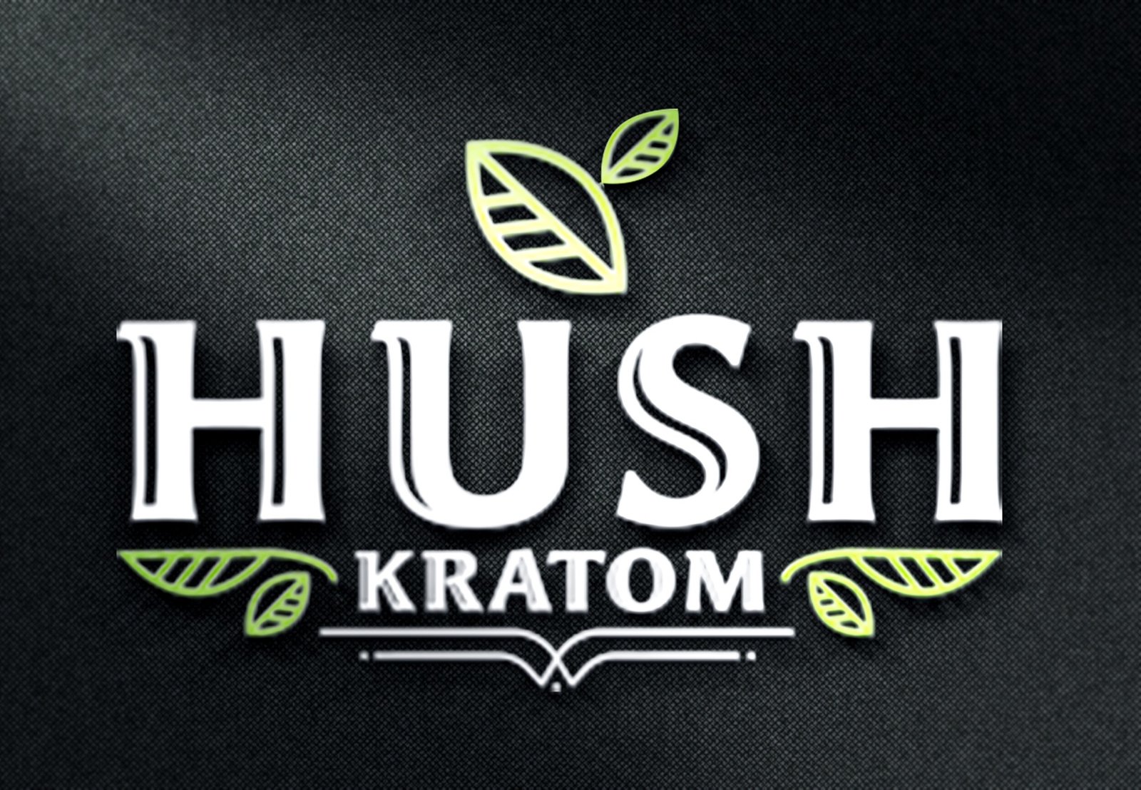 HUSH-Logo