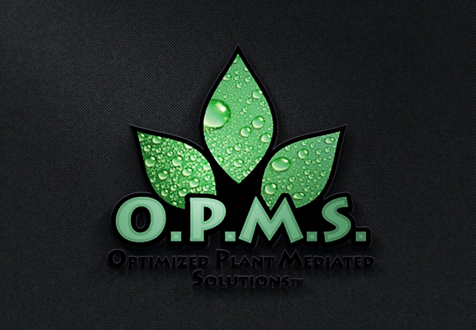 OPMS-Logo