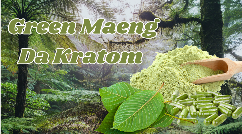 Everything You Need to Know About Green Maeng Da Kratom Explained